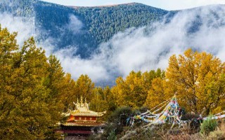 七月木格措，我劝你别来！除非你想被这片高原蓝惯坏