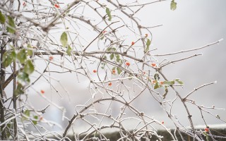 墨石公园，在异星地表，我找到了地球更沉默的告白