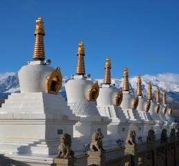 甲居藏寨的门票经济背后，游客的钱，到底流向了哪里？