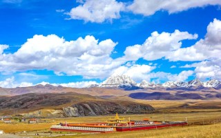 鱼子西七月，跟团游，是解锁秘境还是错过灵魂？