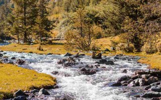 从新都桥到九龙，这趟公交藏着川西更野的风景