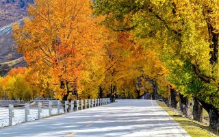 重庆出发！鱼子西绝美星空营地，跟团游防*指南+靠谱联系方式