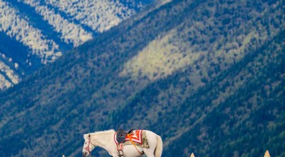 甲居藏寨梨花攻略，别只拍照，错过这5件事等于白来！